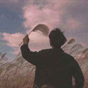 港澳台免费黄色录象
