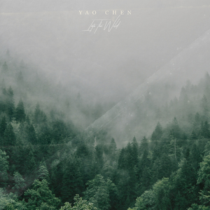 港澳台免费黄色录象
